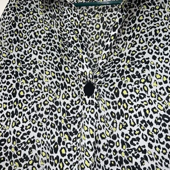 Zara Cheetah Animal Print Silky Long Sleeve V-Neck Blouse Womens XS - Picture 4 of 7